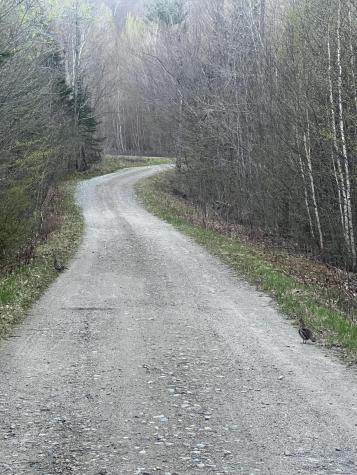 019 Upper Bear Lane Rumford ME 04276