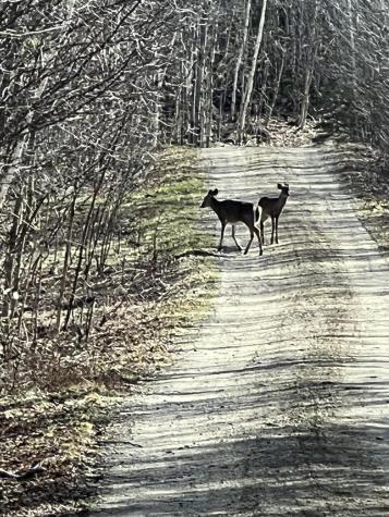 019 Upper Bear Lane Rumford ME 04276