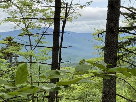 019 Upper Bear Lane Rumford ME 04276