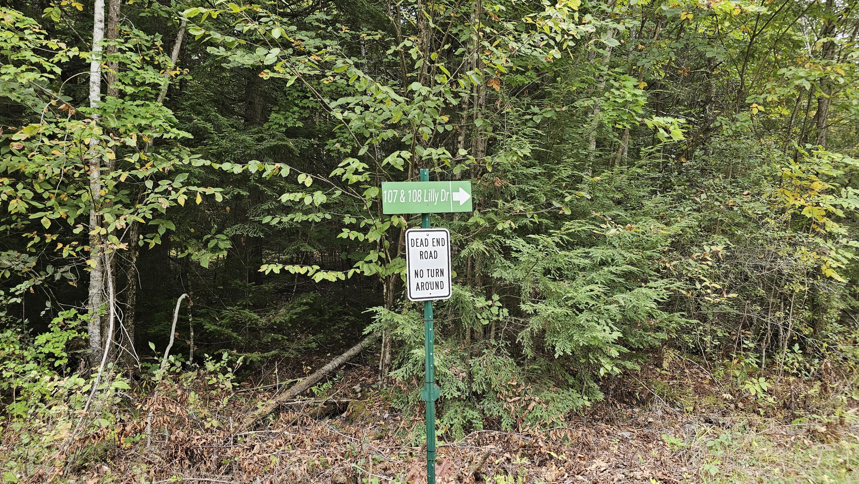 009-007 Lilly Drive Newport ME 04953