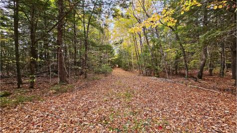 009-007 Lilly Drive Newport ME 04953