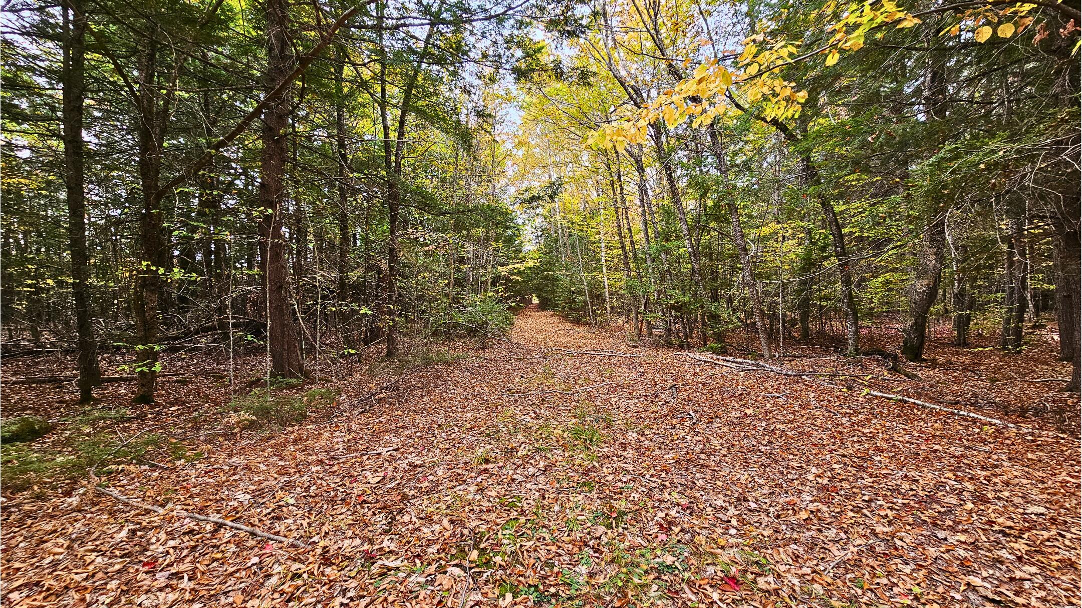 009-007 Lilly Drive Newport ME 04953