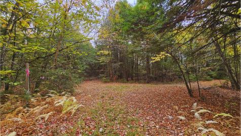 009-007 Lilly Drive Newport ME 04953