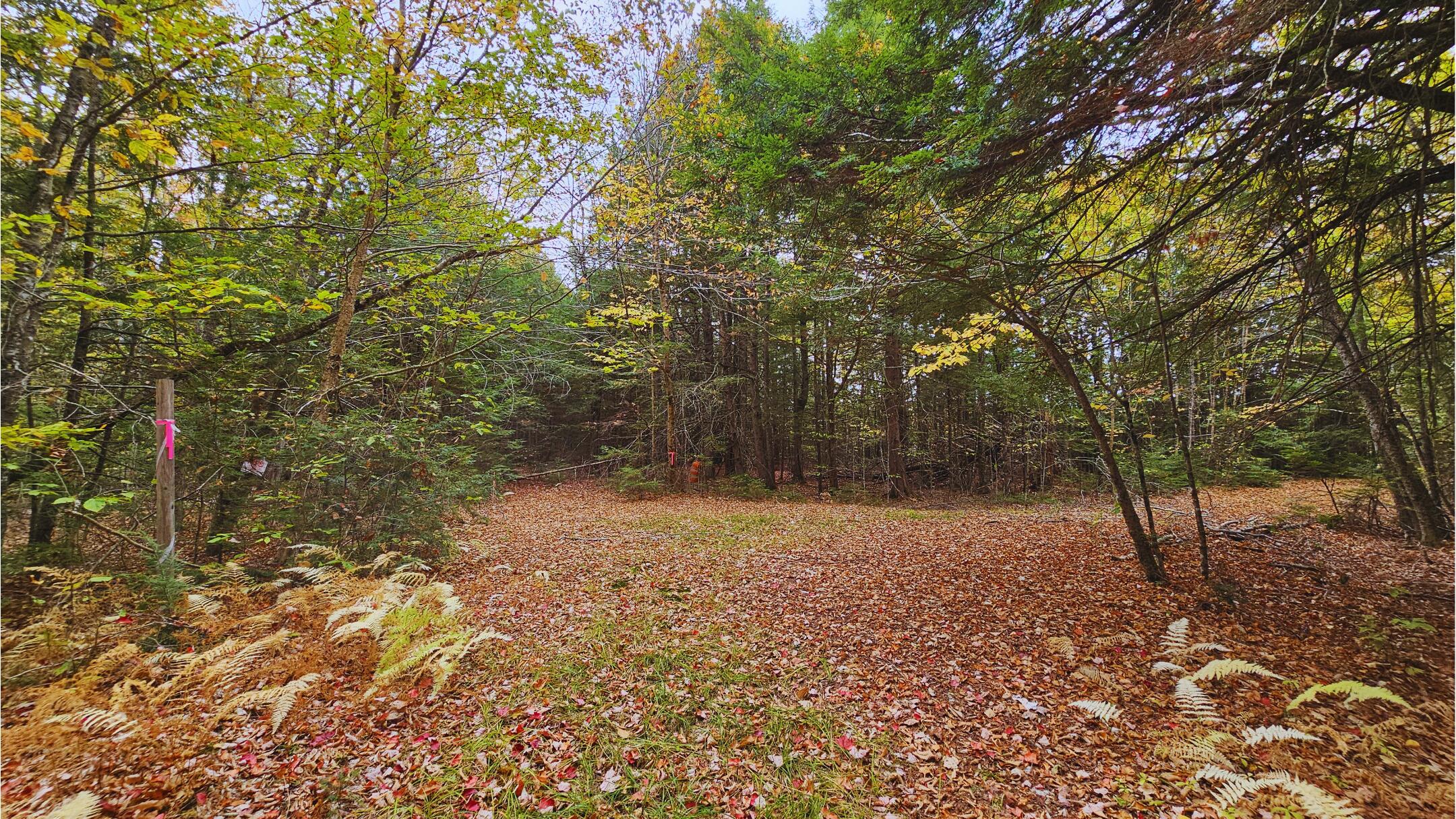 009-007 Lilly Drive Newport ME 04953