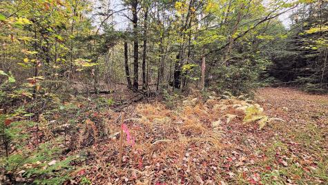 009-007 Lilly Drive Newport ME 04953