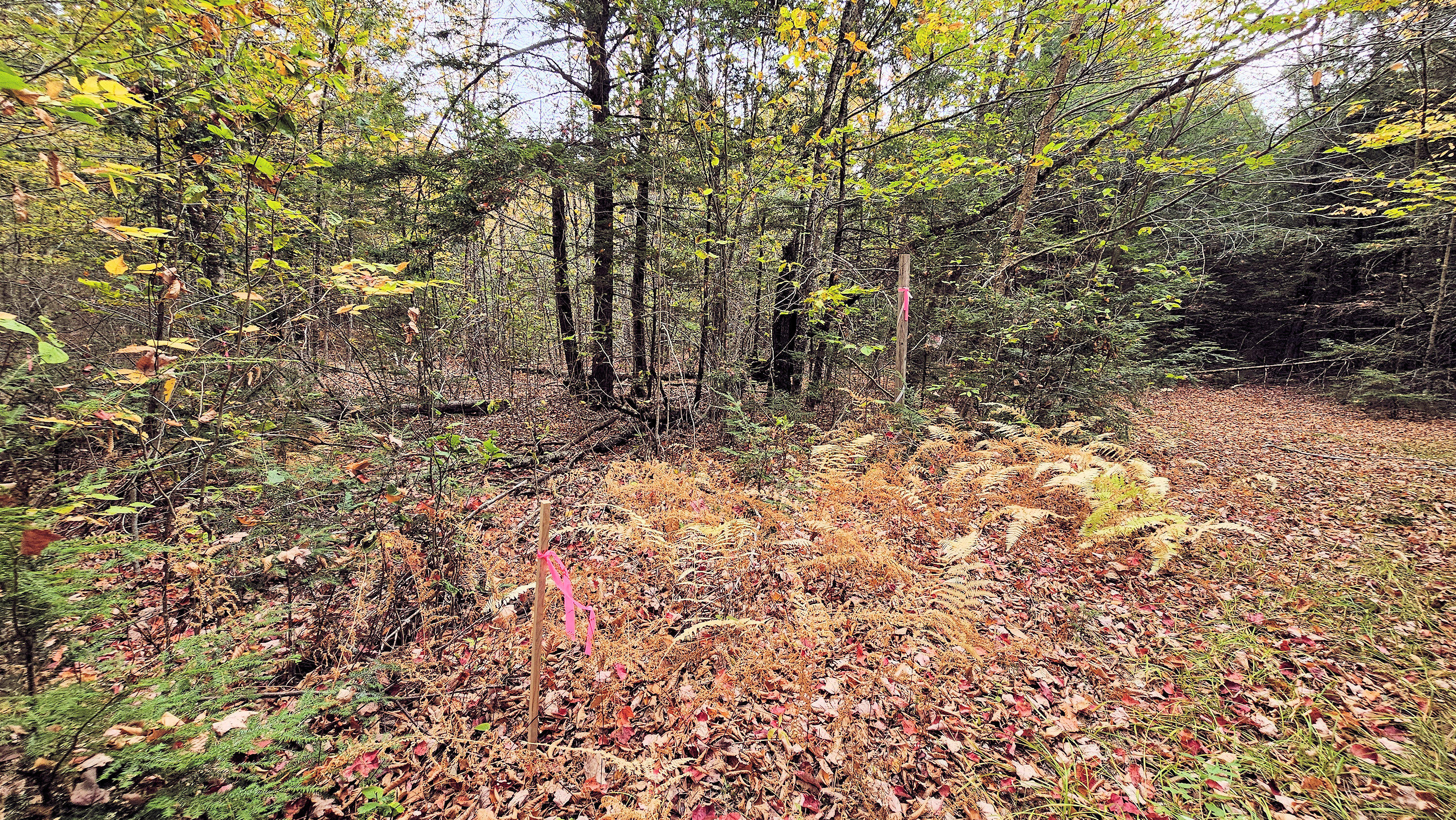 009-007 Lilly Drive Newport ME 04953