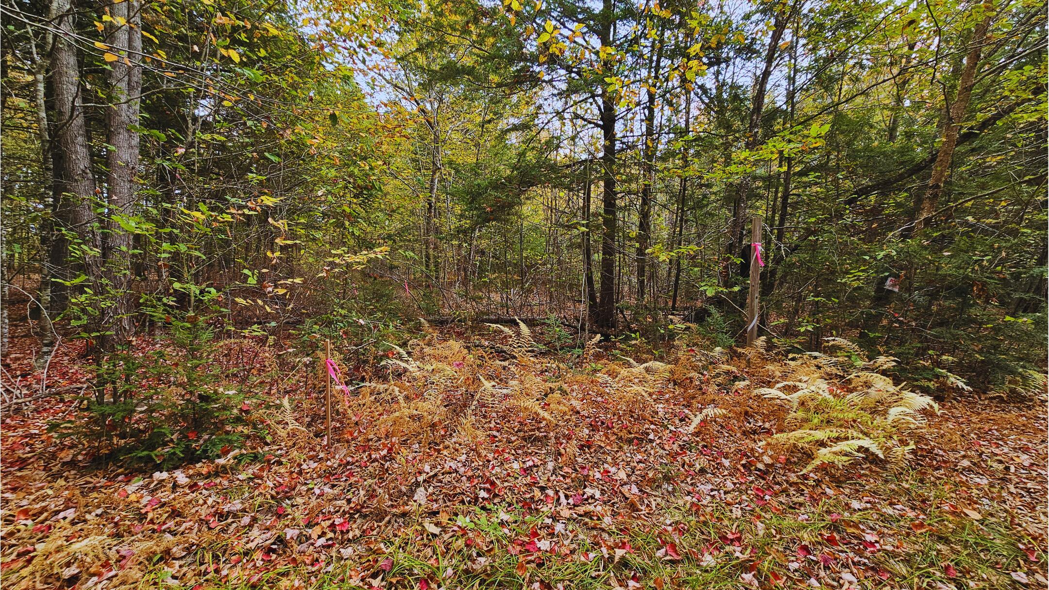 009-007 Lilly Drive Newport ME 04953