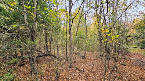 009-007 Lilly Drive Newport ME 04953