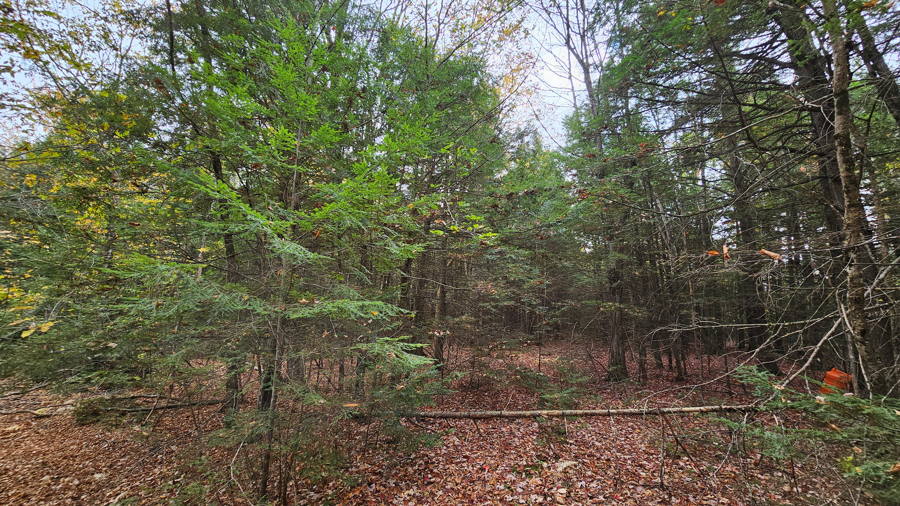 009-007 Lilly Drive Newport ME 04953