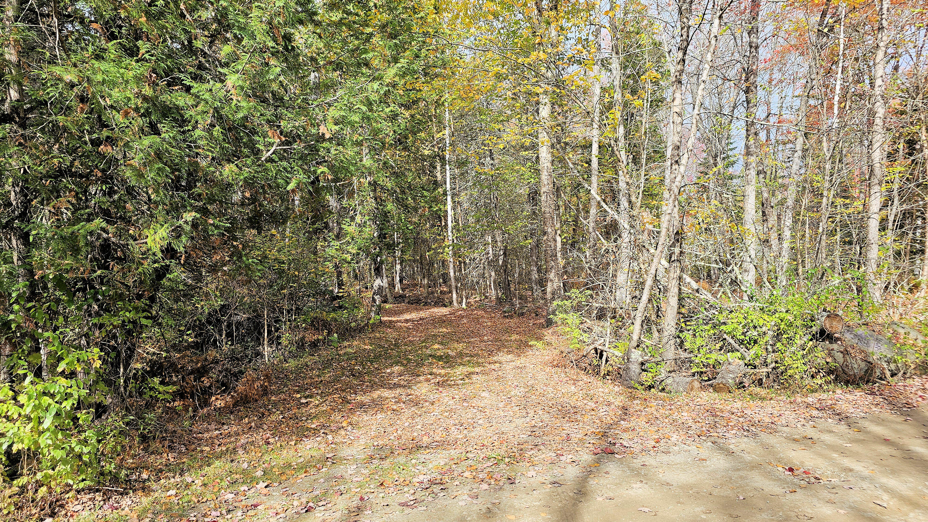 009-007 Lilly Drive Newport ME 04953