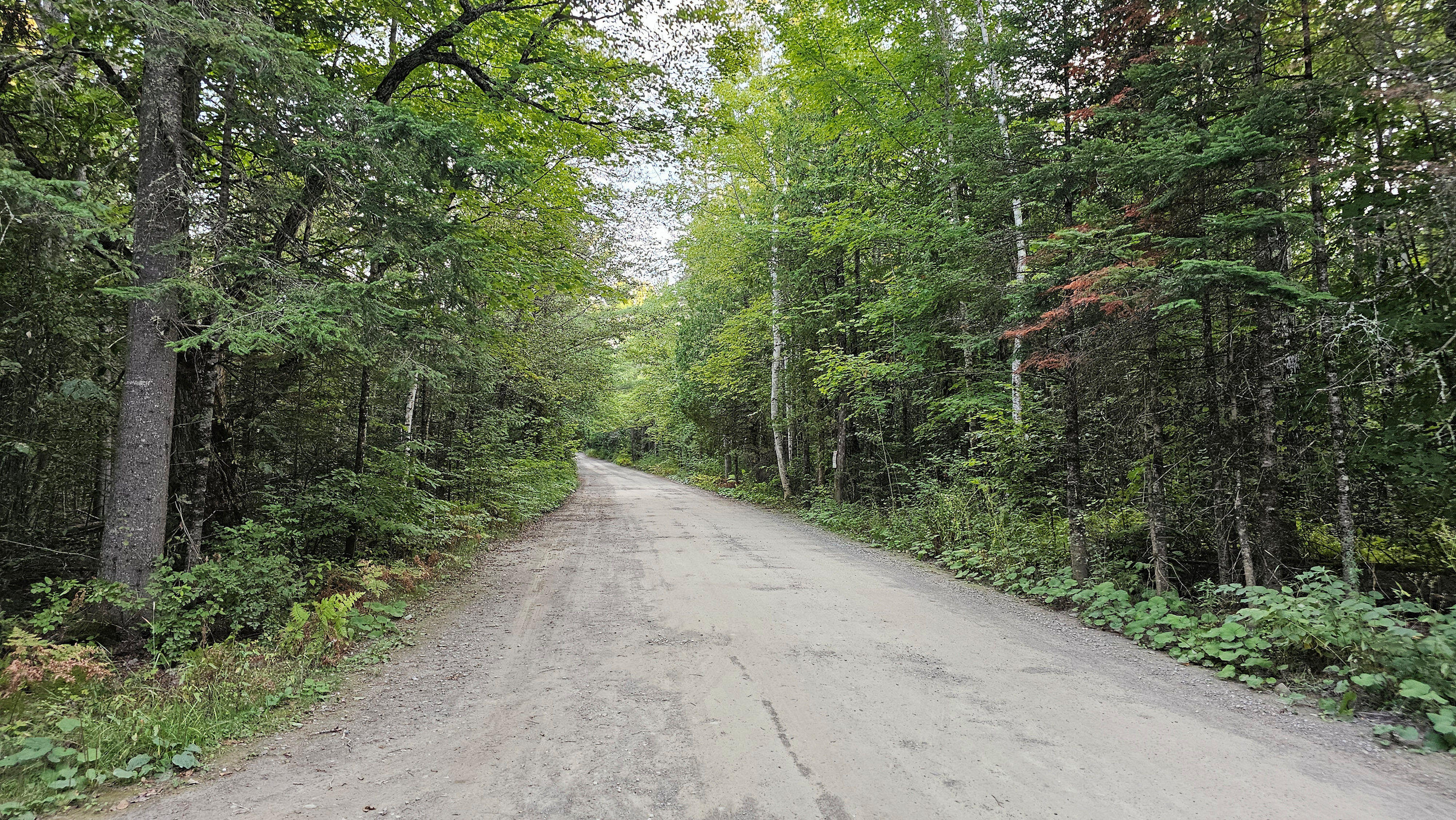 009-007 Lilly Drive Newport ME 04953