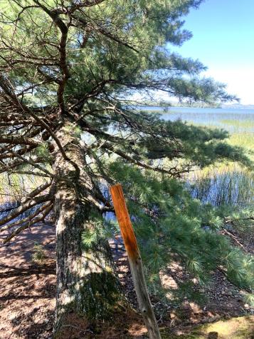 X Bechard Lane Perry ME 04667