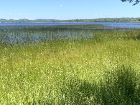 X Bechard Lane Perry ME 04667