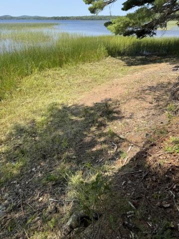 X Bechard Lane Perry ME 04667