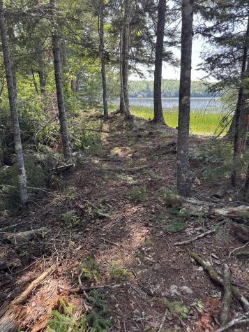 X Bechard Lane Perry ME 04667