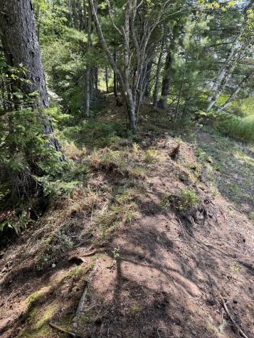 X Bechard Lane Perry ME 04667