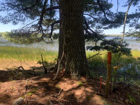 X Bechard Lane Perry ME 04667