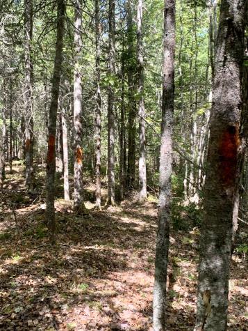 X Bechard Lane Perry ME 04667