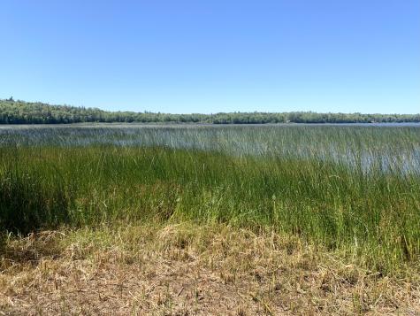 X Bechard Lane Perry ME 04667