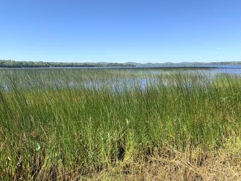 X Bechard Lane Perry ME 04667