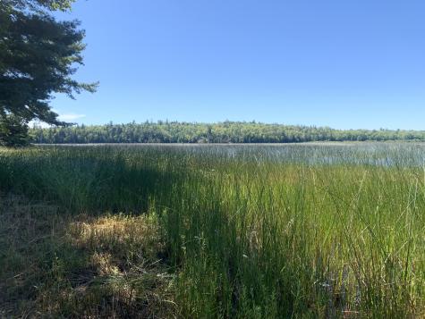 X Bechard Lane Perry ME 04667