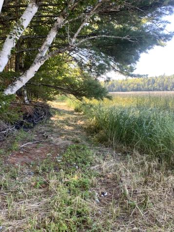 X Bechard Lane Perry ME 04667