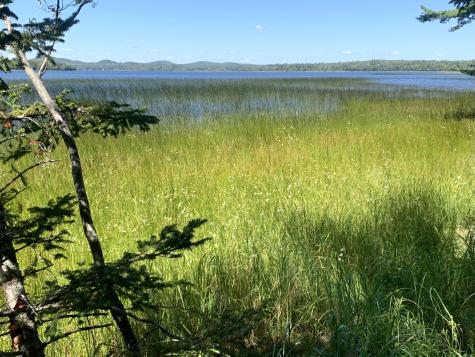 X Bechard Lane Perry ME 04667