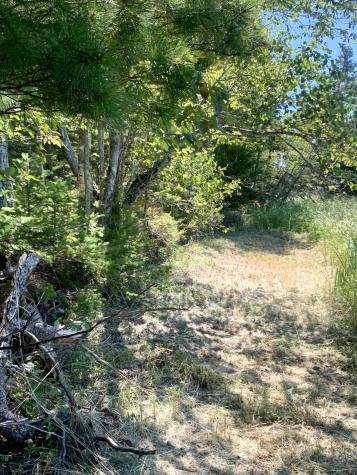 X Bechard Lane Perry ME 04667