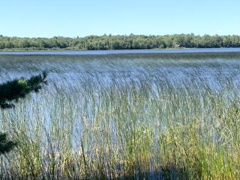 X Bechard Lane Perry ME 04667