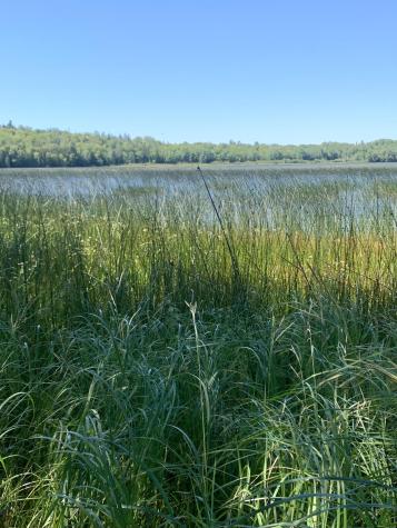 X Bechard Lane Perry ME 04667