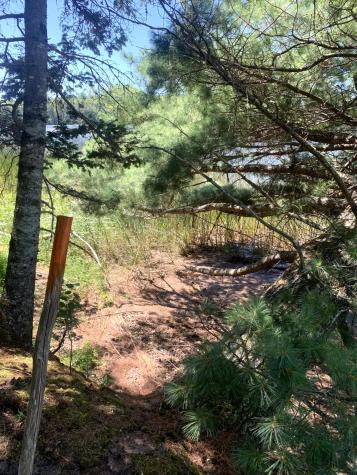 X Bechard Lane Perry ME 04667