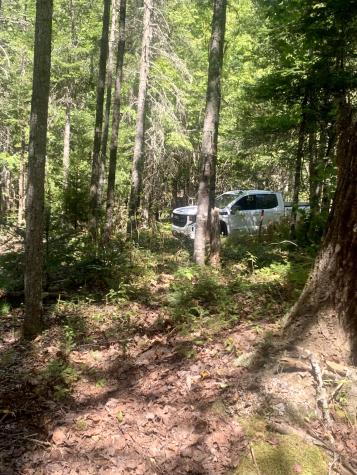 X Bechard Lane Perry ME 04667