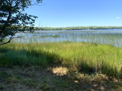 X Bechard Lane Perry ME 04667