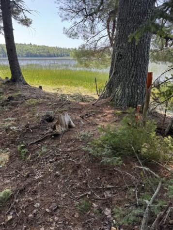 X Bechard Lane Perry ME 04667