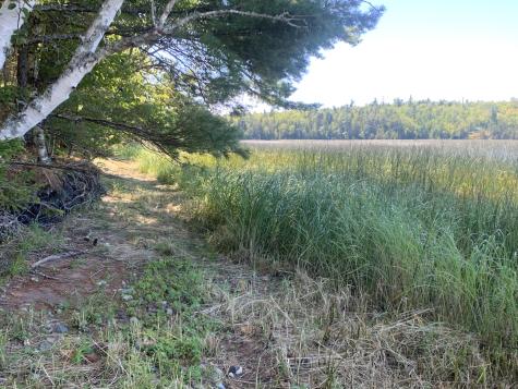 X Bechard Lane Perry ME 04667