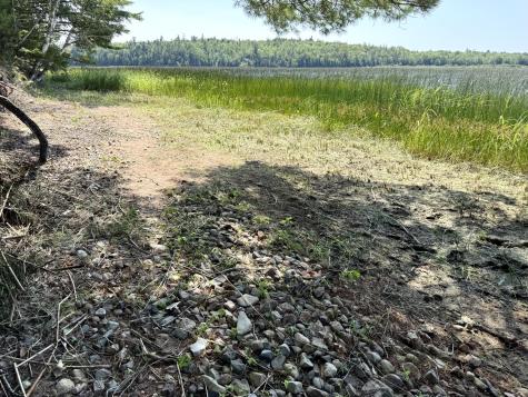 X Bechard Lane Perry ME 04667