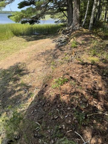 X Bechard Lane Perry ME 04667