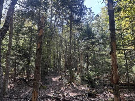 1730 Main Street Harrington ME 04643