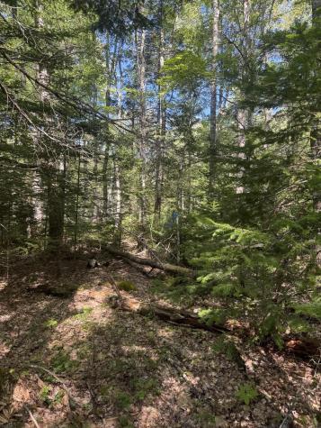 1730 Main Street Harrington ME 04643