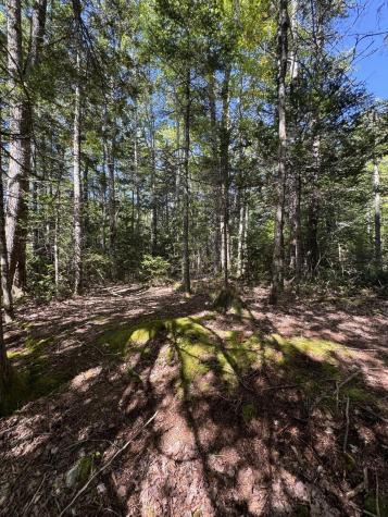 1730 Main Street Harrington ME 04643