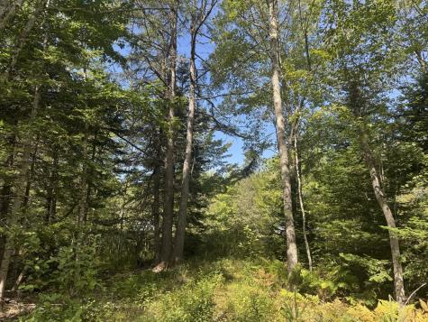 1730 Main Street Harrington ME 04643