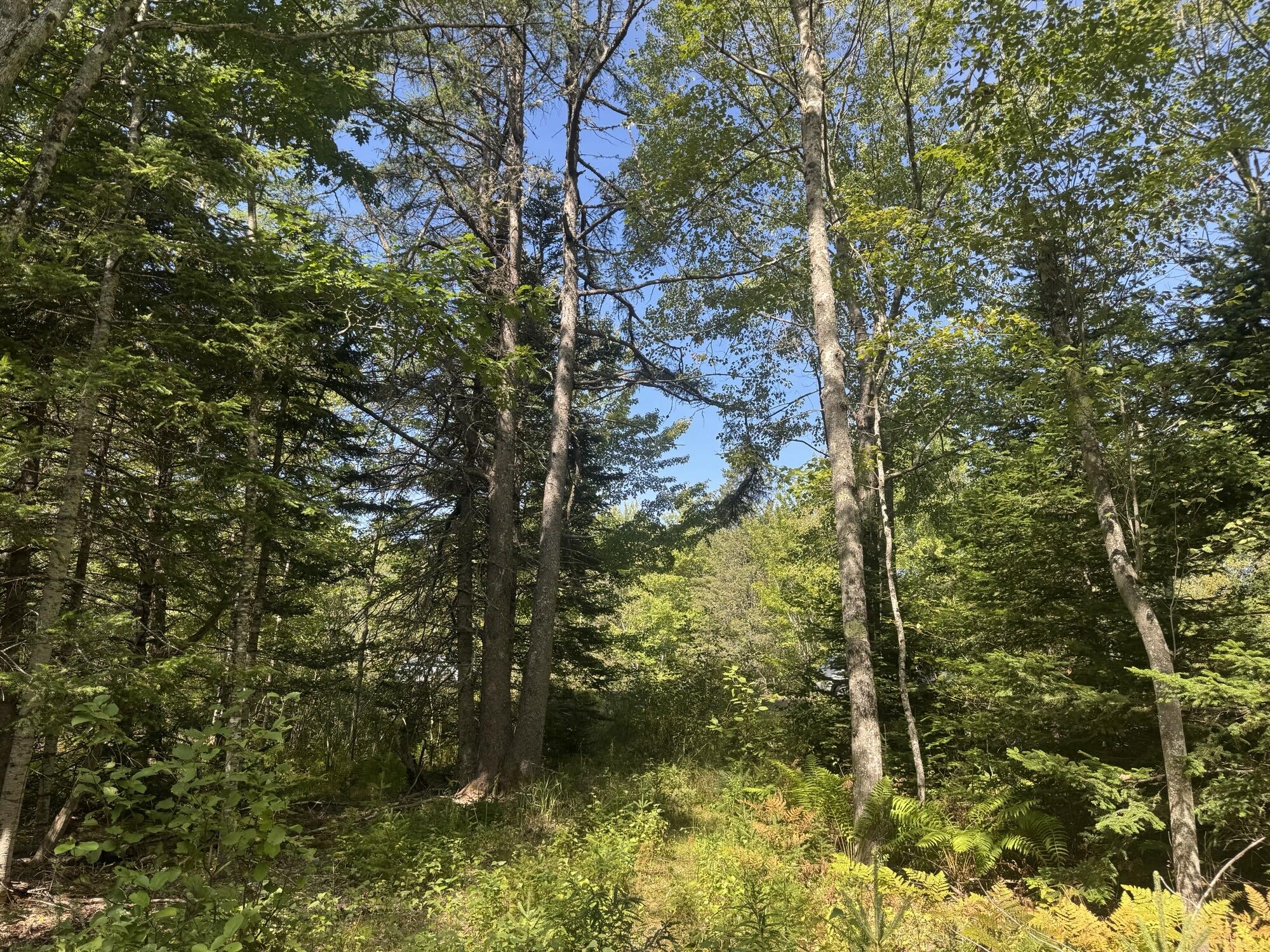 1730 Main Street Harrington ME 04643