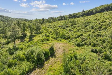 Lot 29 Saddleback Road Baldwin ME 04091