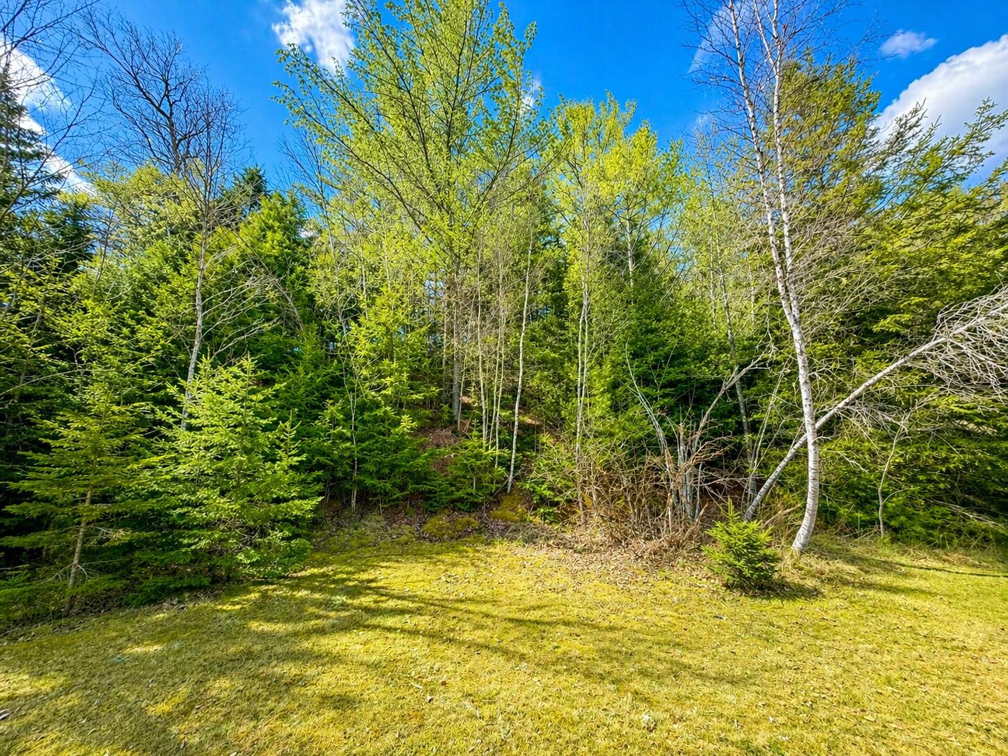 M1978L142D Love Lake Road Crawford ME 04694