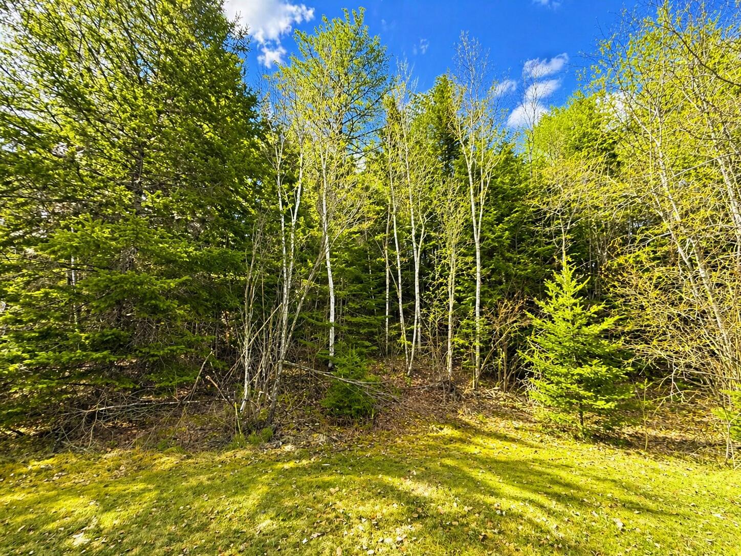 M1978L142D Love Lake Road Crawford ME 04694