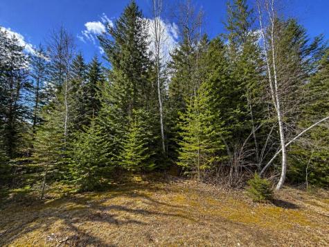 M1978L142D Love Lake Road Crawford ME 04694