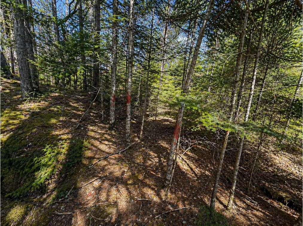 M1978L142D Love Lake Road Crawford ME 04694