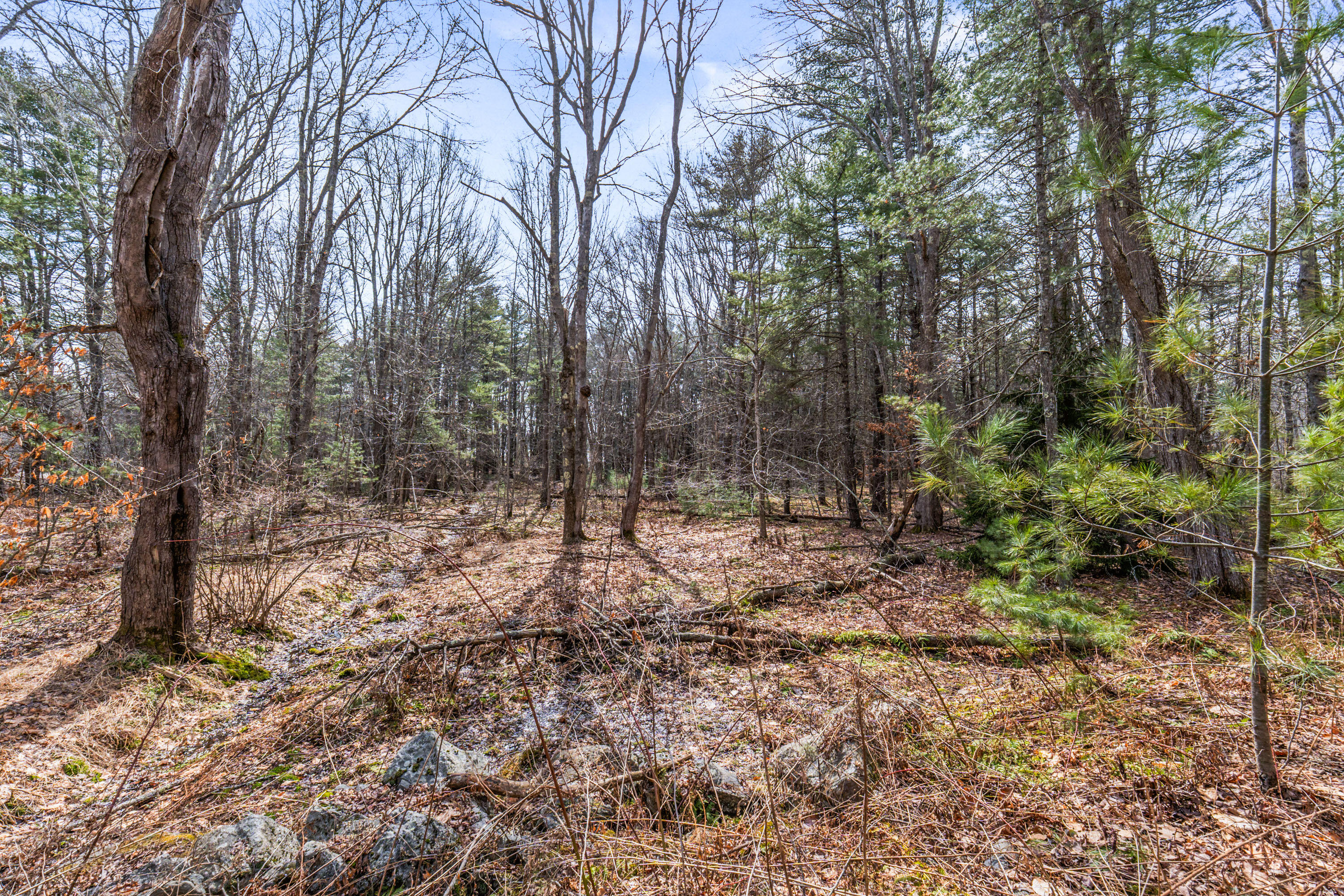 Lot 7-1 Captain John Parker Road Phippsburg ME 04562