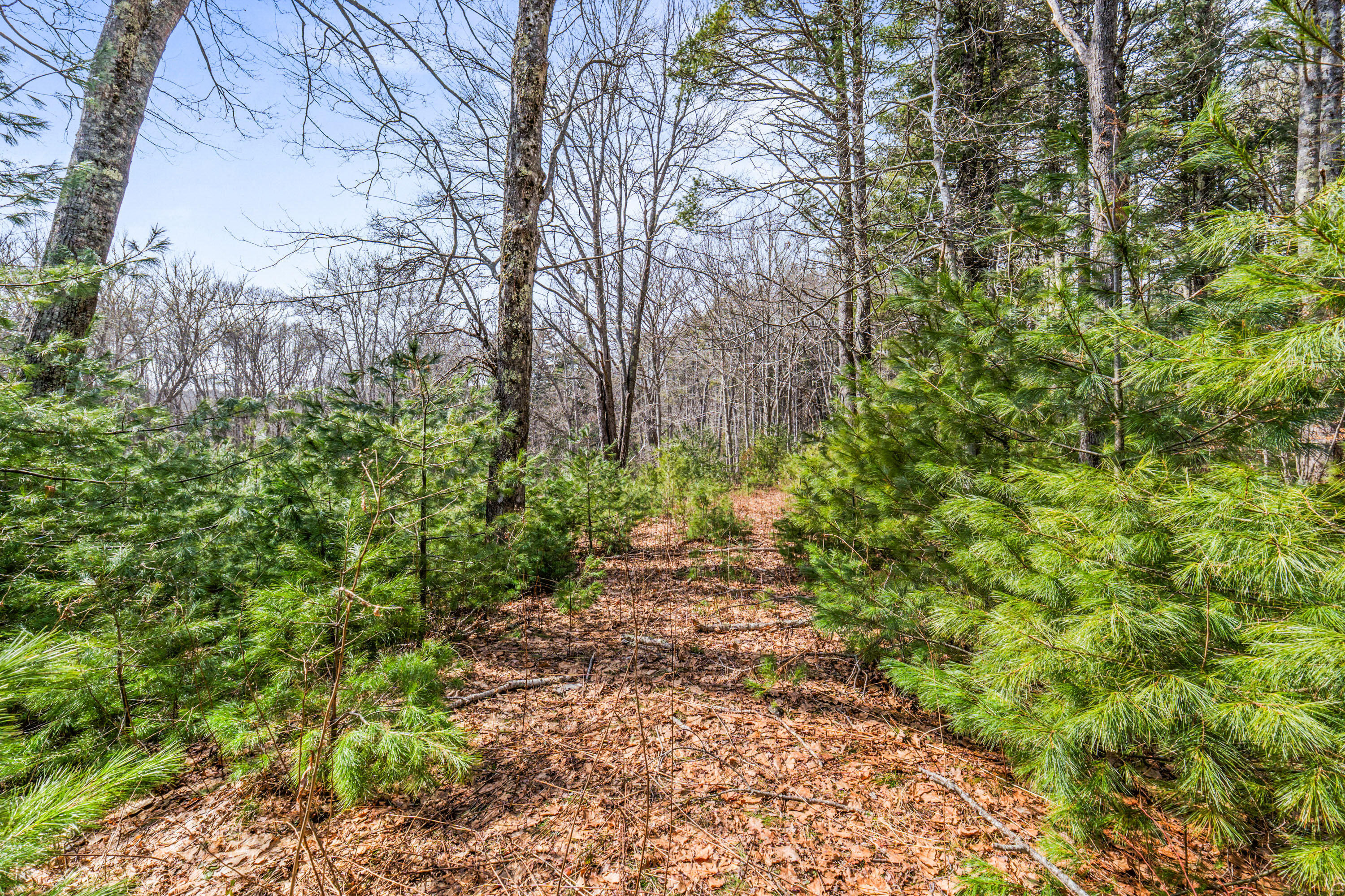 Lot 7-1 Captain John Parker Road Phippsburg ME 04562