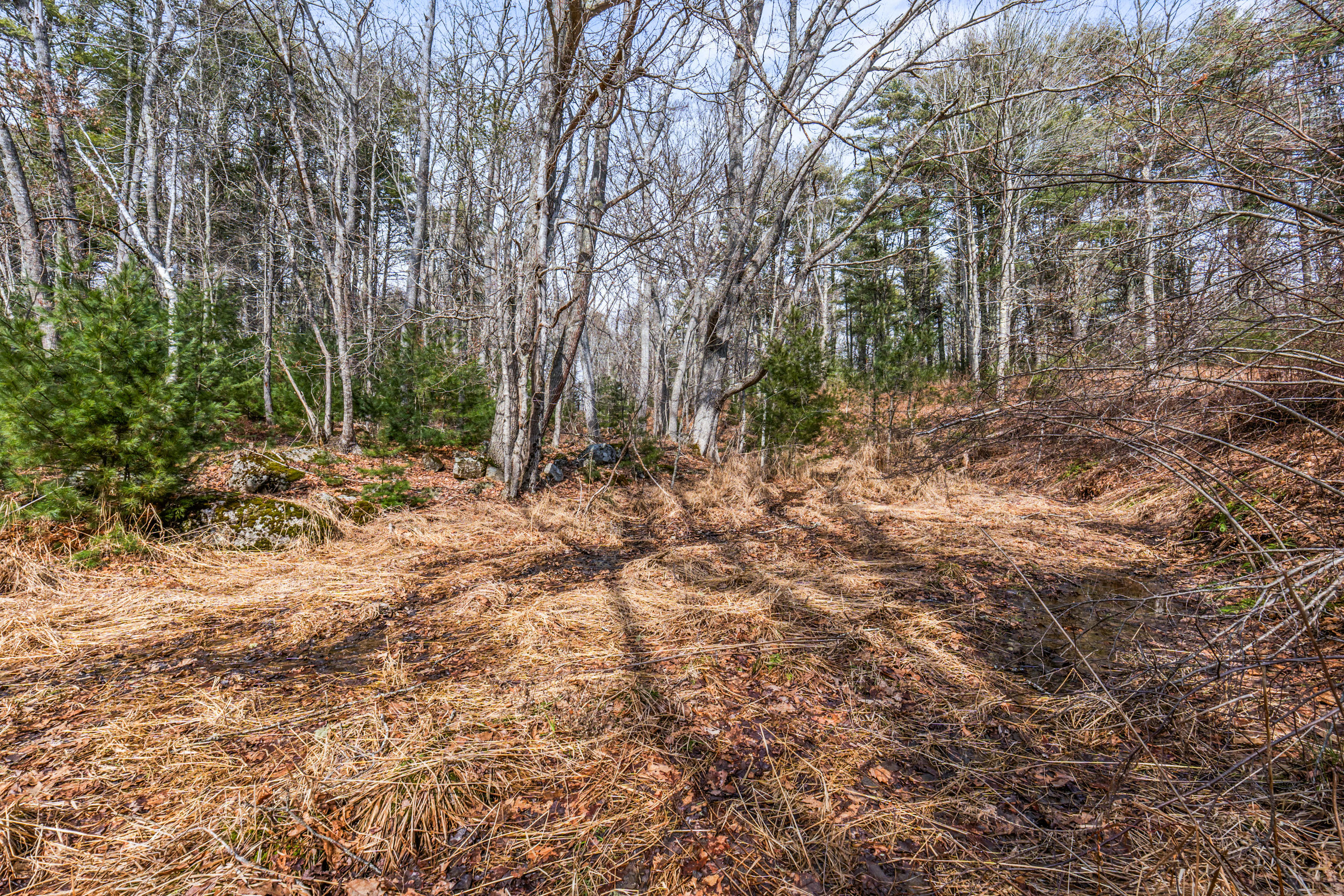 Lot 7-1 Captain John Parker Road Phippsburg ME 04562